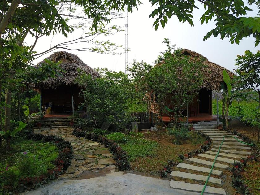 Bungalow Tiêu Chuẩn 