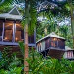 Daintree Eco Lodge & Spa