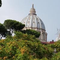 Pope's bridge