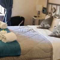 Salaria Luxury Suites