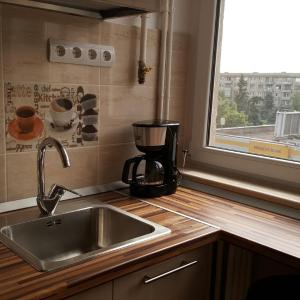 Iri's Downtown Apartment no. 1