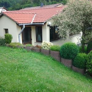 Ferienhaus Waldblick