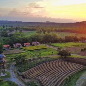 COOLLiving Farmhouse Organic
