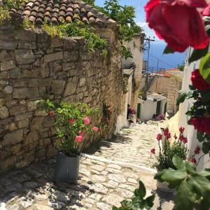 Arvi Boutique Hotel