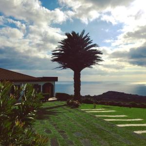 Villa Flor do Monte
