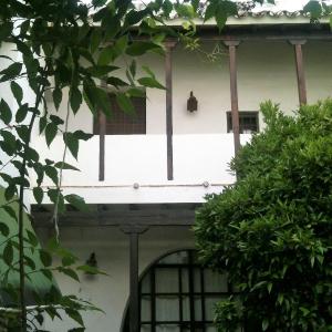 Patio Del Limonero