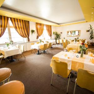 Hotel Roko