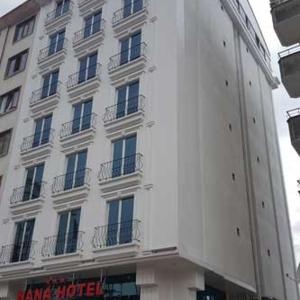 Nana Hotel