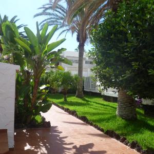 Elana Apartment with FREE WIFI