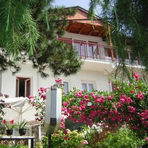 Bache Apartments