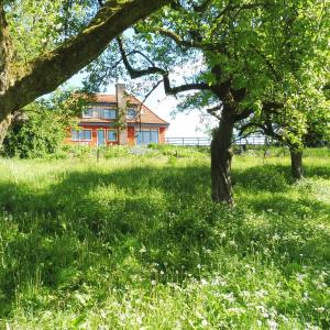 Kleine Villa im wilden Garten