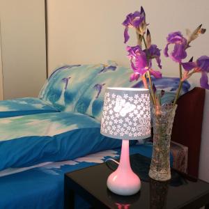 Írisz Apartman Budapest