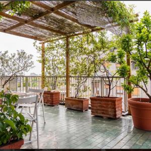 Buonarroti City Life Roof Garden Mita Milano