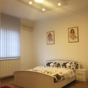 Apartman br.1