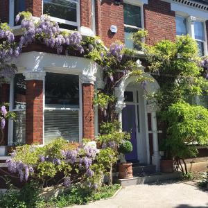 The Lilac Door