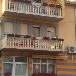Guest house "Aylin"