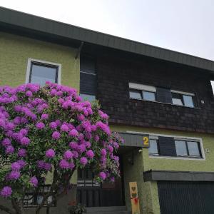 Schwarzwaldhaus Markus