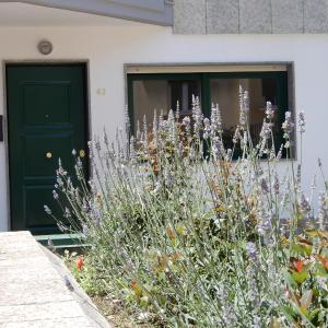 casa vacanze lucianoandson