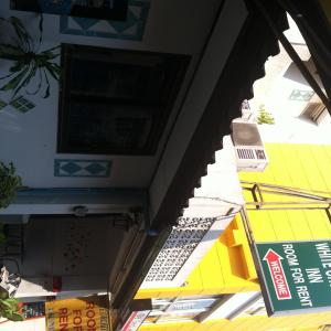 White Orchid Inn I