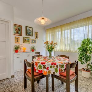 Apartment Grdelin