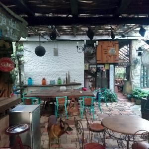 Jungle Lodge CANCUN AEROPUERTO