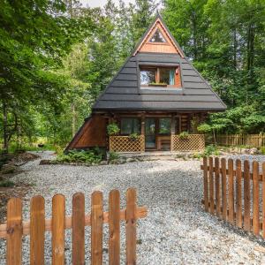 Mountain Shelter CH41