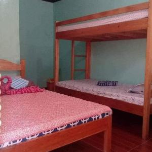 3Kid's Homestay Green
