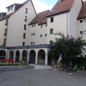 l'ecureuil
