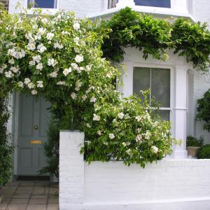 Hurlingham Bed and Breakfast