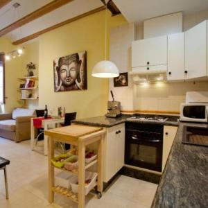 Apartament in historic center