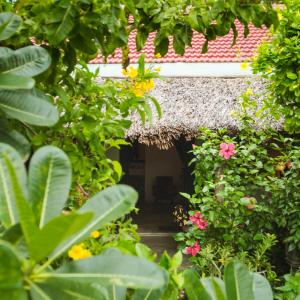 An Bang Purple Homestay