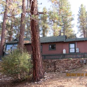 Apple Bear Cabin