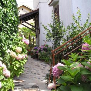 Apartments Villa Ida
