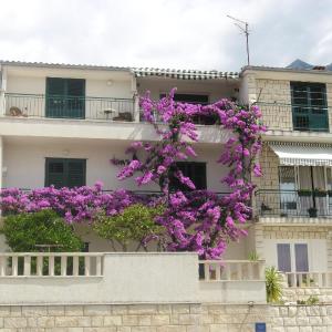Apartments Villa Luce