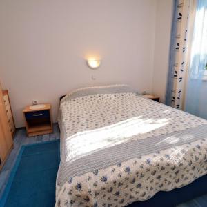 Apartment Vlado