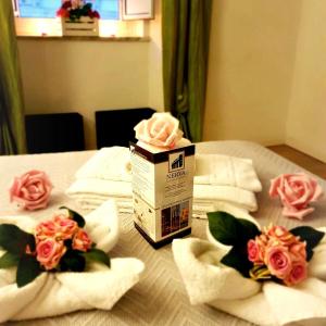 Nerva Accommodation