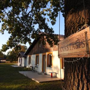 Anastasis