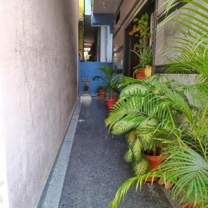 Suja Home Stay