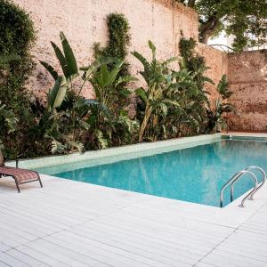 Top Rentals WOW Nuñez