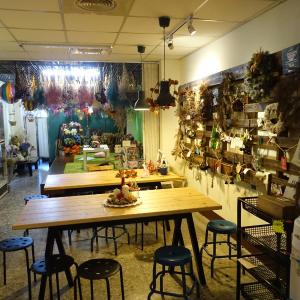 Kite Hostel
