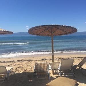 Paralia Ofrinio - Beach Apartments
