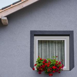 Orchidea Apartman