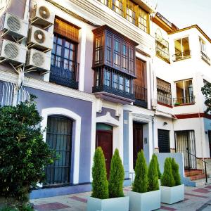 Casa Pedregalejo. Grupos-Familias