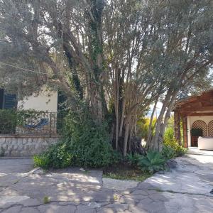Villa Serrano