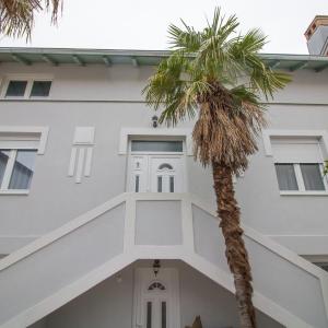 Villa M