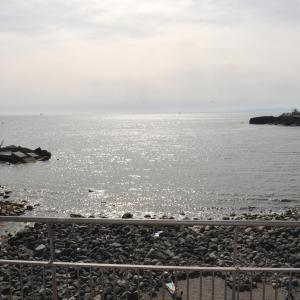 Niria Home