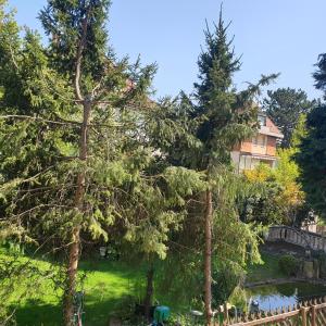 Relax City Apartments
