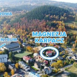 MAGNEZJA