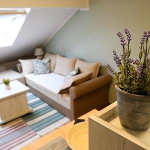 Hann Apartments