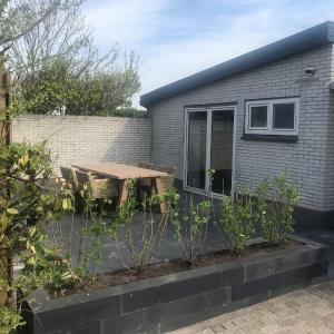 Pet-Friendly Texel Escape